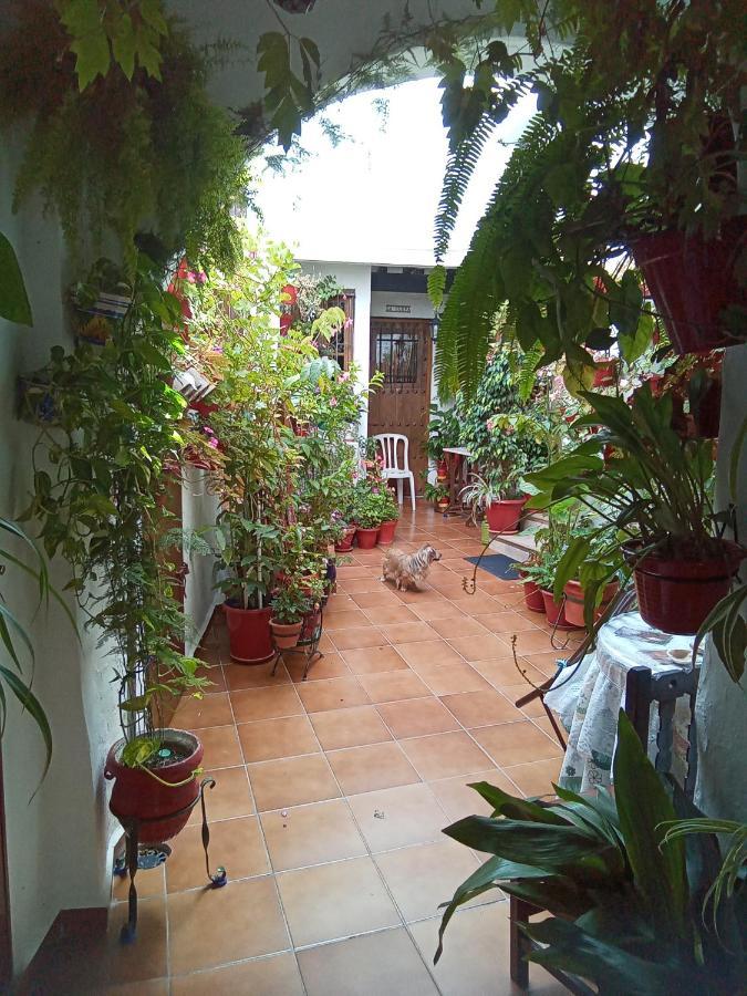 Apartamento Arco de la Cobijada Vejer de la Frontera Exterior foto
